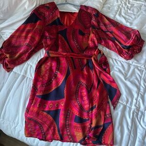 Tyler Boe Red and Pink Long Sleeve Dress